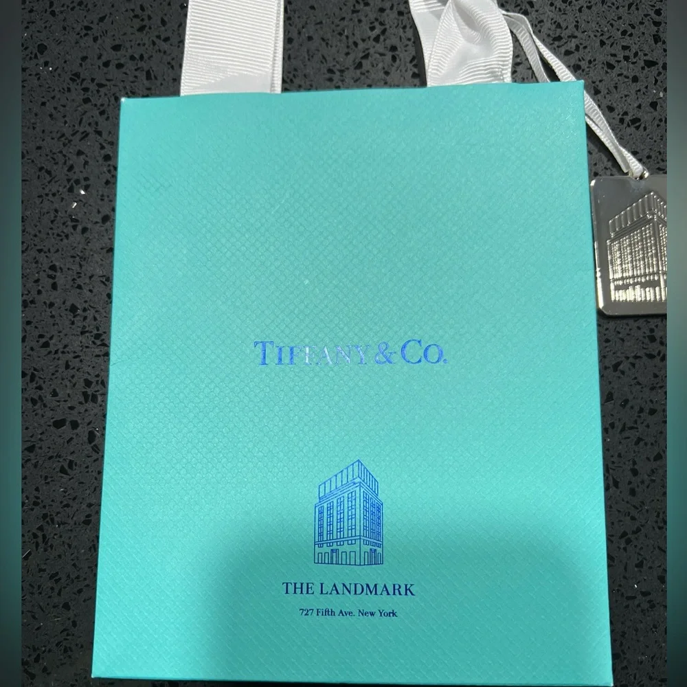 Tiffany & Co. Blue Gift Bag